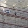 Video: Man Arrested For Mid-Day Stroll Up Brooklyn Bridge 